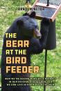 The Bear At The Bird Feeder - Preview