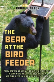 Capa do artigo The Bear At The Bird Feeder