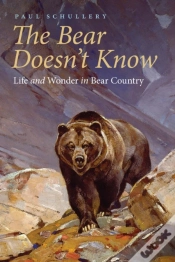 Capa do artigo The Bear Doesn