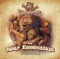 The Bear Essentials - Preview