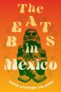 The Beats In Mexico - Preview