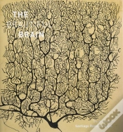 Capa do artigo The Beautiful Brain