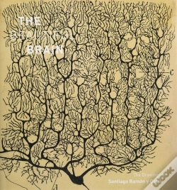 Capa do artigo The Beautiful Brain