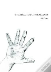 Capa do artigo The Beautiful Hurricanes