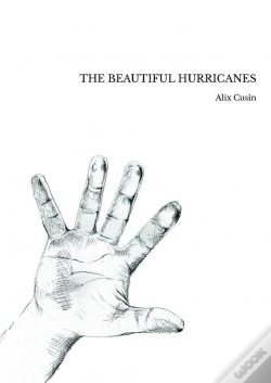Capa do artigo The Beautiful Hurricanes