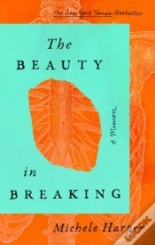 Capa do artigo The Beauty In Breaking