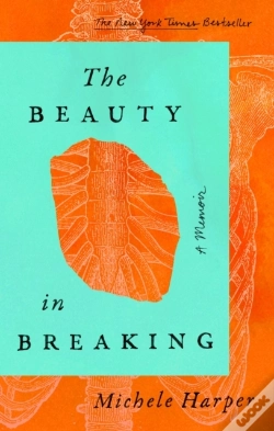 Capa do artigo The Beauty In Breaking