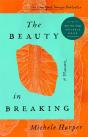 The Beauty In Breaking - Preview