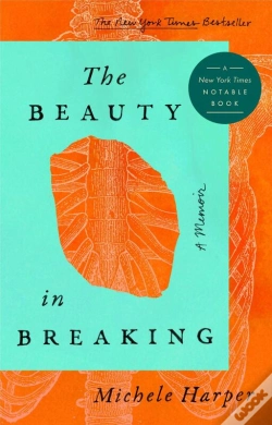 Capa do artigo The Beauty In Breaking