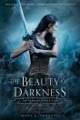 The Beauty Of Darkness - Preview