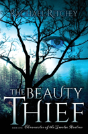 The Beauty Thief - Preview