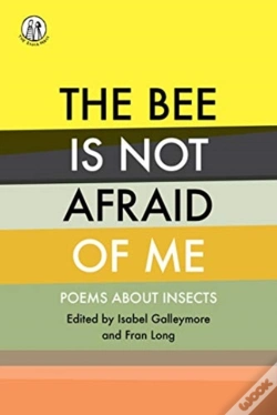 Capa do artigo The Bee Is Not Afraid Of Me