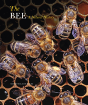 The Bee - Preview