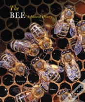 Capa do artigo The Bee