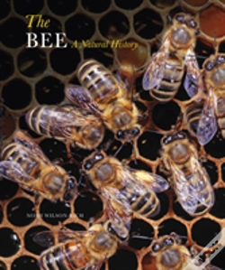 Capa do artigo The Bee