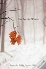 Capa do artigo The Bees In Winter