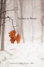 The Bees In Winter - Preview