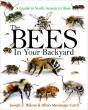 The Bees In Your Backyard - Preview