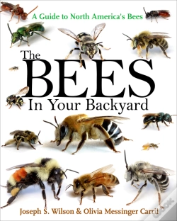 Capa do artigo The Bees In Your Backyard