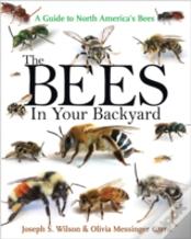 The Bees In Your Backyard