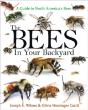 The Bees In Your Backyard - Preview