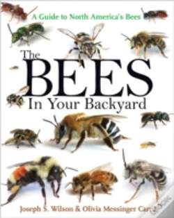 Capa do artigo The Bees In Your Backyard