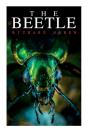 The Beetle - Preview