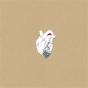The Beggar - CD - Preview