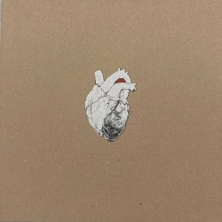 Capa do artigo The Beggar - Vinil