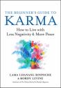 The Beginnerâ€™S Guide To Karma - Preview