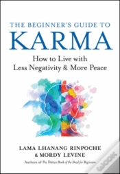 Capa do artigo The Beginnerâ€™S Guide To Karma