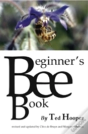 Capa do artigo The Beginner