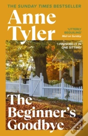 Capa do artigo The Beginner