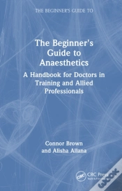 Capa do artigo The Beginner