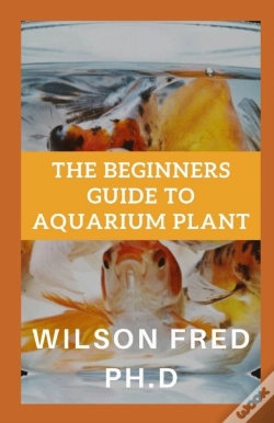 Capa do artigo The Beginners Guide To Aquarium Plant