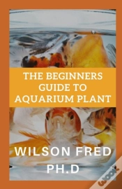 Capa do artigo The Beginners Guide To Aquarium Plant