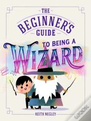The Beginner'S Guide To Being A Wizard