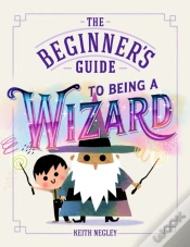 Capa do artigo The Beginner