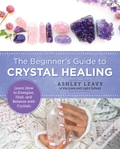 Capa do artigo The Beginner