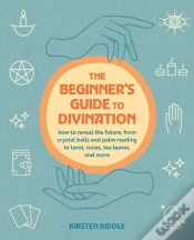 Capa do artigo The Beginner