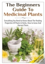 Capa do artigo The Beginners Guide To Medicinal Plants