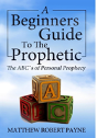 The Beginner'S Guide To The Prophetic - Preview