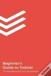 Capa do artigo The Beginner