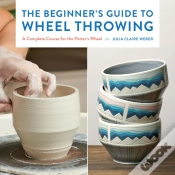 Capa do artigo The Beginner