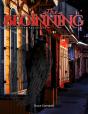 The Beginning - Preview