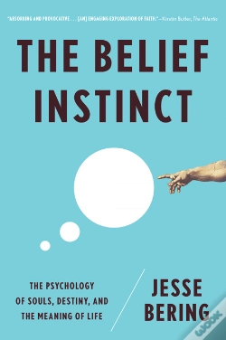 Capa do artigo The Belief Instinct