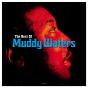 The Best of Muddy Waters - Vinil - Preview