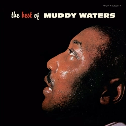 Capa do artigo The Best of Muddy Waters - Vinil
