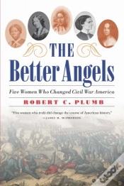 Capa do artigo The Better Angels