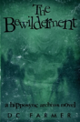 The Bewilderment - Preview